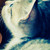 :iconwhite-horses: