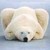 :iconwhite-medwed: