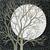 :iconwhite-moon-wolves:
