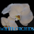 :iconwhite-orchids: