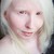 :iconwhite-pegasus: