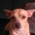 White-Rose-Blue-Moon :iconwhite-rose-blue-moon: