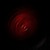 :iconwhite-roseknight: