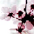 :iconwhite-shadowxl: