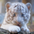 :iconwhite-she-devil: