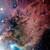 :iconwhite-stella: