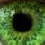 :iconwhite-wingsxx: