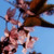 :iconwhite-with-frost: