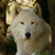 :iconwhite-wolf-pack: