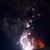 :iconwhite43tiger: