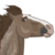 :iconwhiteakitapainter: