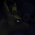 :iconwhitebarracuda: