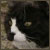 :iconwhitebeamy: