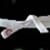 :iconwhitebelt247: