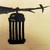 WhiteBirdie :iconwhitebirdie: