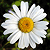 :iconwhiteblur: