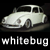 :iconwhitebug68: