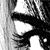 :iconwhitecat: