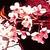 :iconwhitecherryblossom24: