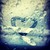 :iconwhitedaisy53: