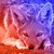 :iconwhitedraconis: