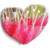 :iconwhiteedelweiss: