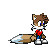 :iconwhitefd:
