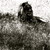 :iconwhitefoxtail:
