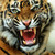 :iconwhitehorse95: