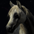 :iconwhitehorsefeathers: