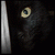 :iconwhitekarsi:
