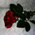 :iconwhitenightfantasy: