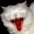 :iconwhitenoise93:
