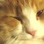 :iconwhitepage106: