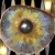 :iconwhitepoet: