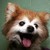 :iconwhiterbunny: