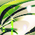:iconwhiterw: