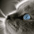 :iconwhiteshade999: