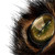 :iconwhitesirin: