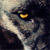 :iconwhitespiritwolf: