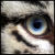 :iconwhitetiger19:
