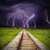 :iconwhitetiger1963: