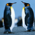:iconwhitewalll: