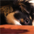 :iconwhitewater87: