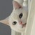 :iconwhitewillow2010: