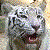 :iconwhitewings05: