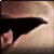:iconwhitewolf0990: