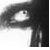 :iconwhitewolf15: