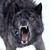 :iconwhitewolf60: