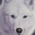 :iconwhitewolf888: